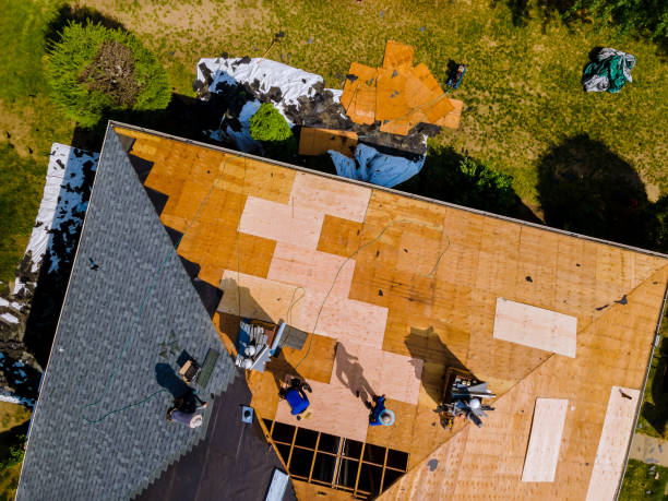 Professional Roofing Contractor in Pflugerville, TX